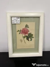 8 Tablouri decorative diverse - vintage, botanice, florale Rama Tablou de perete