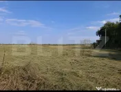 Teren intravilan 2.500 mp | Oportunitate rară pentru locuin