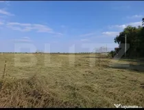 Teren intravilan 2.500 mp | Oportunitate rară pentru locuin