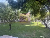 Vila P+1+M incojurata de o oaza de liniste si verdeata Br...