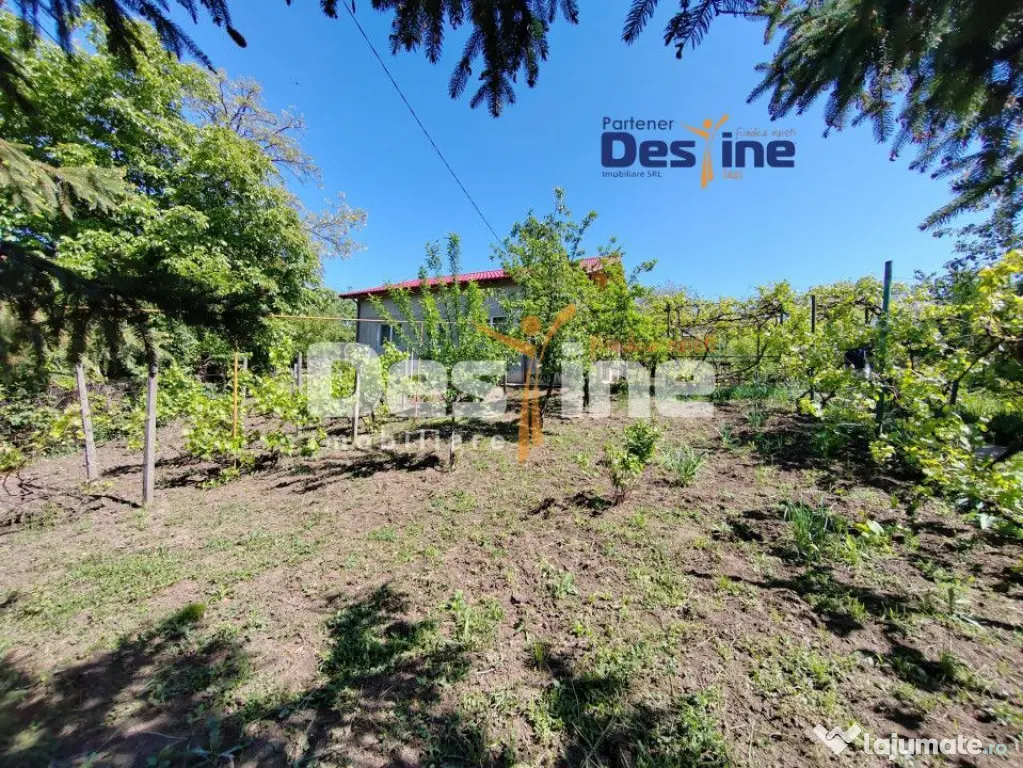 Casă individuală P+M, 164 mp utili + 1062 mp teren, COPOU - Iasi (Iasi)