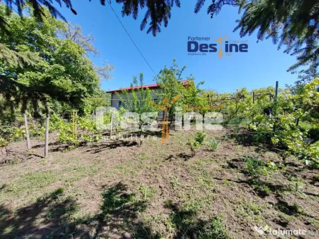 Casă individuală P+M, 164 mp utili + 1062 mp teren, COPOU - Iasi (Iasi)