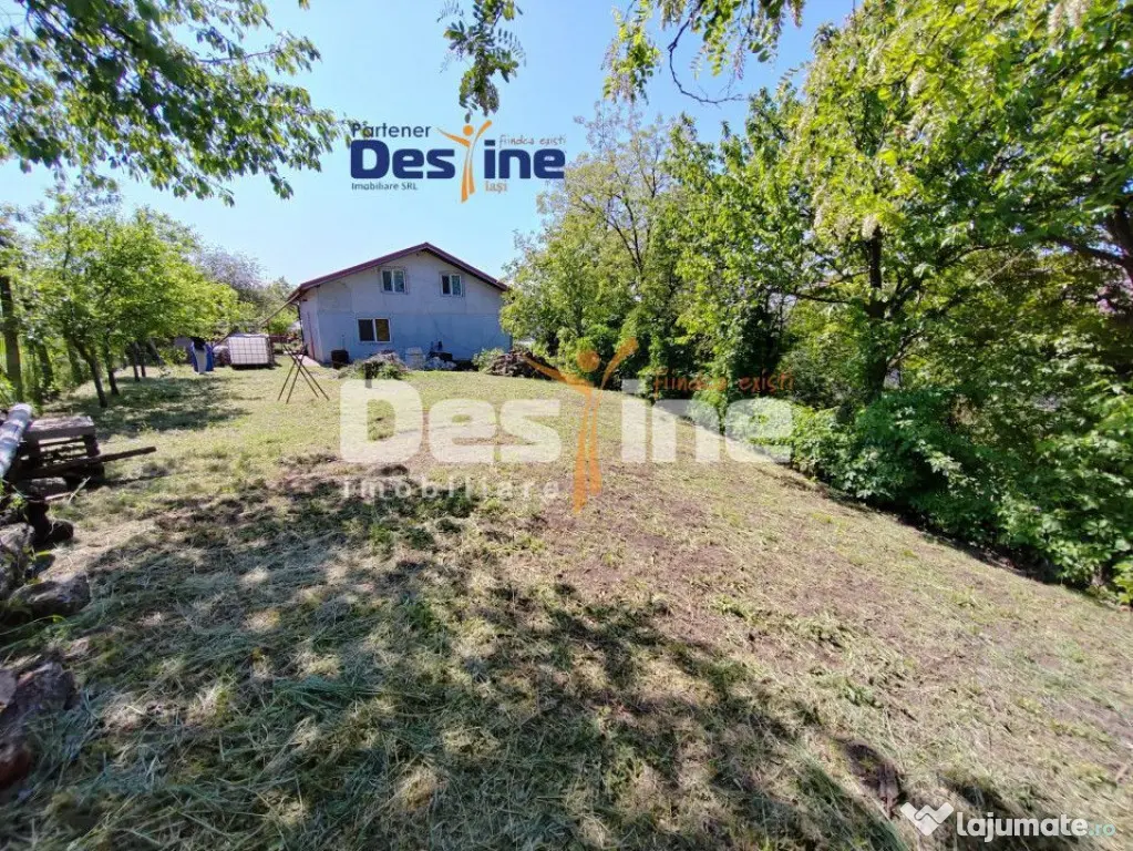 Casă individuală P+M, 164 mp utili + 1062 mp teren, COPOU - Iasi (Iasi)