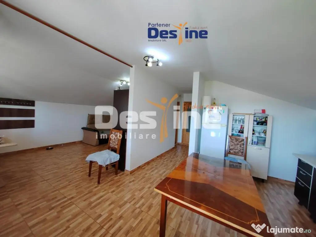 Casă individuală P+M, 164 mp utili + 1062 mp teren, COPOU - Iasi (Iasi)