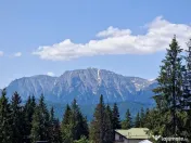 Pensiune de vânzare I Predeal | Teren 600 mp | 14 dormit...
