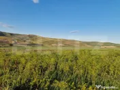 Teren extravilam 5000mp la 10 km de Baile Cijocna 