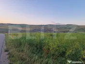 Teren extravilam 5000mp la 10 km de Baile Cijocna 