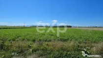 Teren intravilan 17.204 mp Stupini – zonă mixtă ZM, POT
