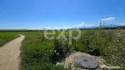 Teren intravilan 17.204 mp Stupini – zonă mixtă ZM, POT
