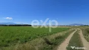 Teren intravilan 17.204 mp Stupini – zonă mixtă ZM, POT