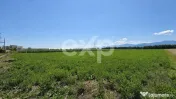 Teren intravilan 17.204 mp Stupini – zonă mixtă ZM, POT