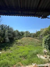 Casă tradițională în Gănești – 100 mp utili, teren 1 