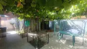 CASA P+M BRESTEI 