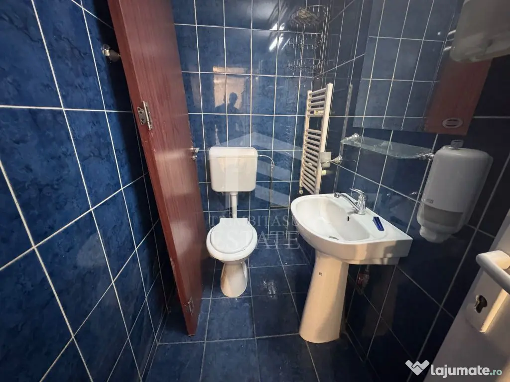 Spatiu Comercial Stradal Calea Vacaresti | VAD Vitrina 8 m