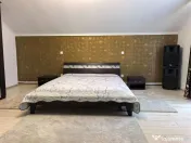 Duplex P+M cu 3 camere și curte, renovata complet