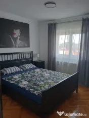 Apartament decomandat de inchiriat zona Sub Arini