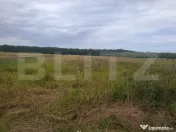 Teren de vânzare – Suta Olteni, 2.500 mp 
