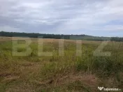 Teren de vânzare – Suta Olteni, 2.500 mp 
