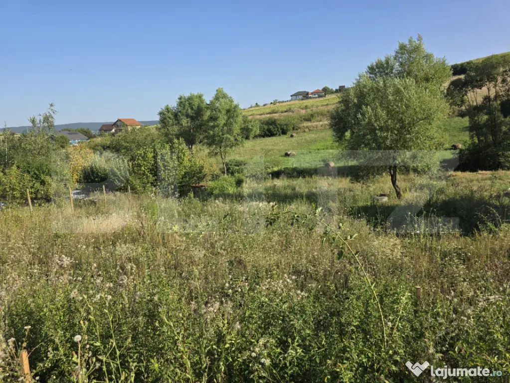 Teren 1.028 mp Bărdești | Proiect Casă, Materiale & Autor