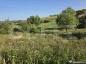Teren 1.028 mp Bărdești | Proiect Casă, Materiale & Autor 