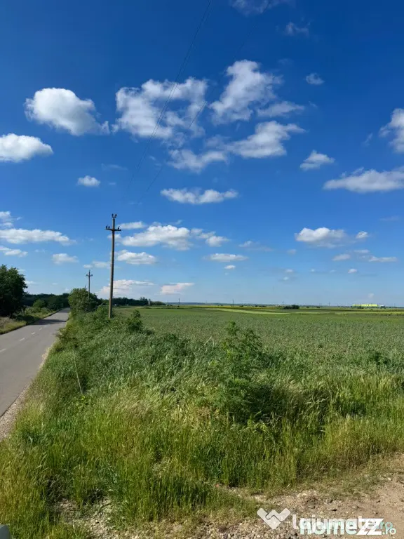 Teren de vânzare – 5.000 mp în comuna Slobozia, județul - Slobozia (Giurgiu)