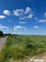 Teren de vânzare – 5.000 mp în comuna Slobozia, județul