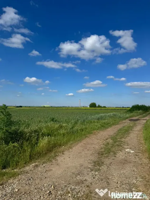 Teren de vânzare – 5.000 mp în comuna Slobozia, județul - Slobozia (Giurgiu)
