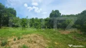 Casă nouă cu teren generos de 4.700 mp 