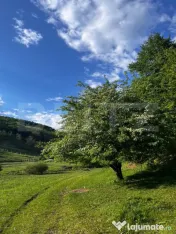 Apartament 3 camere 53 mp , 2 parcări, gradina 65mp, Eroilo 