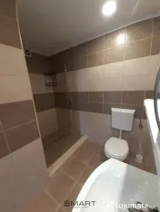 Apartament 3 camere Sub Arini 