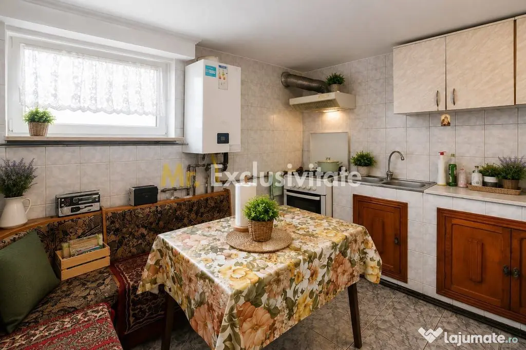 CASA P+M de vanzare in Stefanesti-Arges-3 camere, garaj, ...