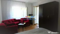 GARSONIERA PIATA MUNCII 330 euro