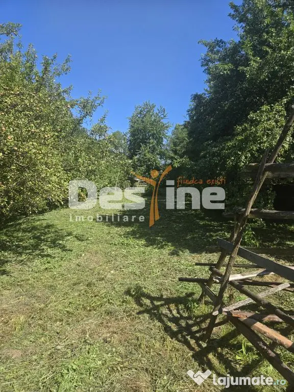Casa Rustica cu Gradina Valea Doftanei