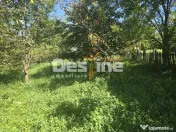 Casa Rustica cu Gradina Valea Doftanei 