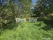 Casa Rustica cu Gradina Valea Doftanei 