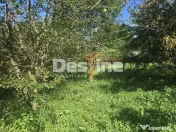 Casa Rustica cu Gradina Valea Doftanei 