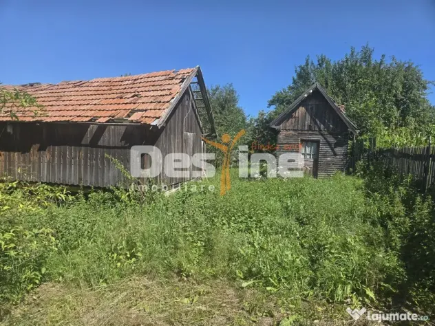 Casa Rustica cu Gradina Valea Doftanei