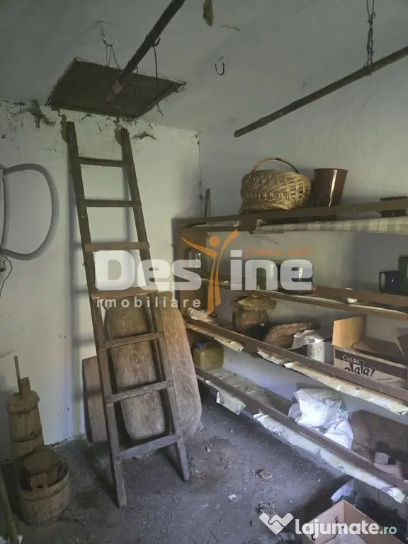 Casa Rustica cu Gradina Valea Doftanei