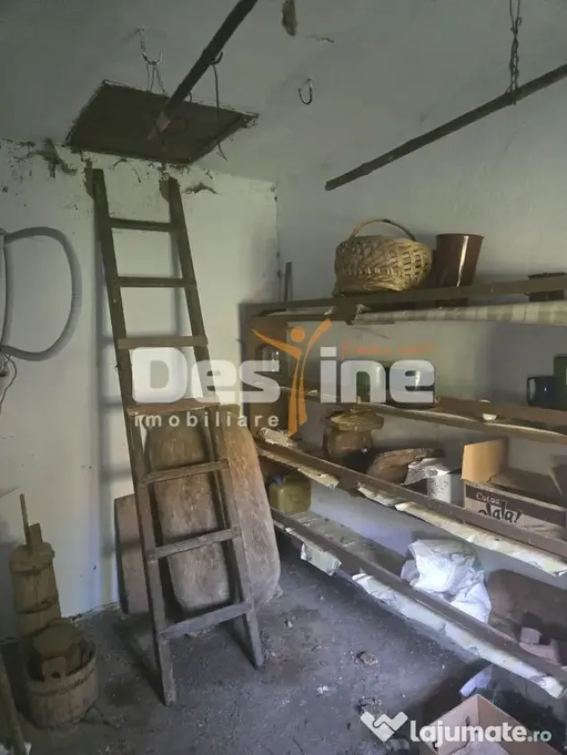 Casa Rustica cu Gradina Valea Doftanei