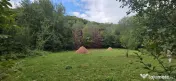 Teren de vanzare 15.000 mp in Telega 