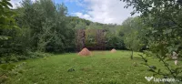 Teren de vanzare 15.000 mp in Telega 