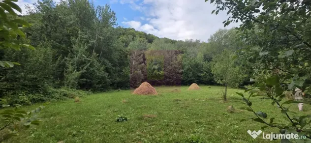 Teren de vanzare 15.000 mp in Telega - Telega (Prahova)