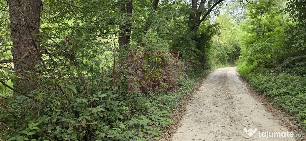 Teren de vanzare 15.000 mp in Telega - Telega (Prahova)
