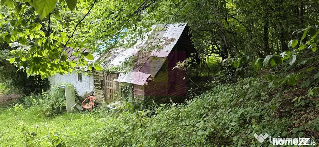 Teren de vanzare 15.000 mp in Telega - Telega (Prahova)