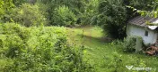 Teren de vanzare 15.000 mp in Telega 