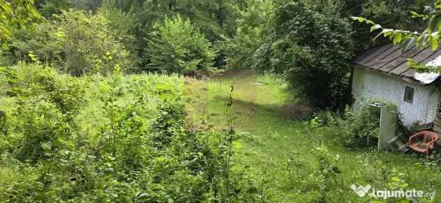 Teren de vanzare 15.000 mp in Telega - Telega (Prahova)