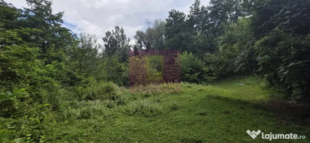 Teren de vanzare 15.000 mp in Telega - Telega (Prahova)