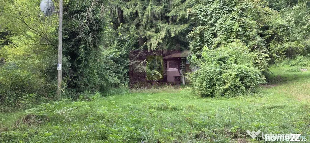 Teren de vanzare 15.000 mp in Telega - Telega (Prahova)