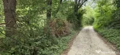 Teren de vanzare 15.000 mp in Telega 