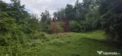 Teren de vanzare 15.000 mp in Telega 